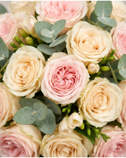 Macro detail