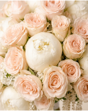 Macro detail