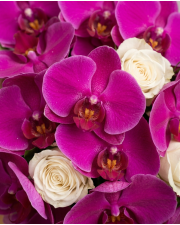 Macro detail