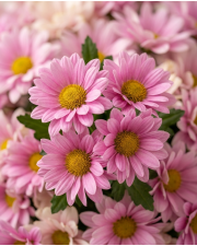 Macro detail