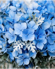 Macro detail