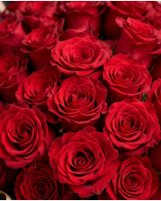 Macro detail