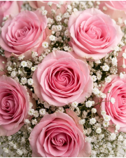 Macro detail
