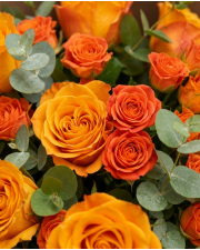Macro detail