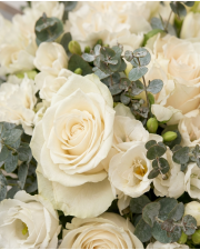Macro detail