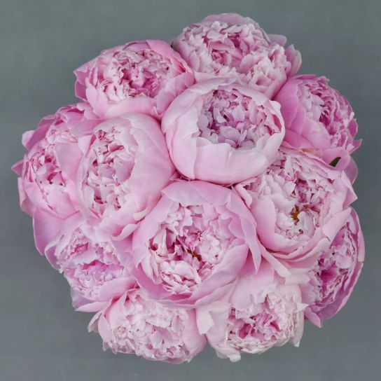 Şakayık Gelin Buketi