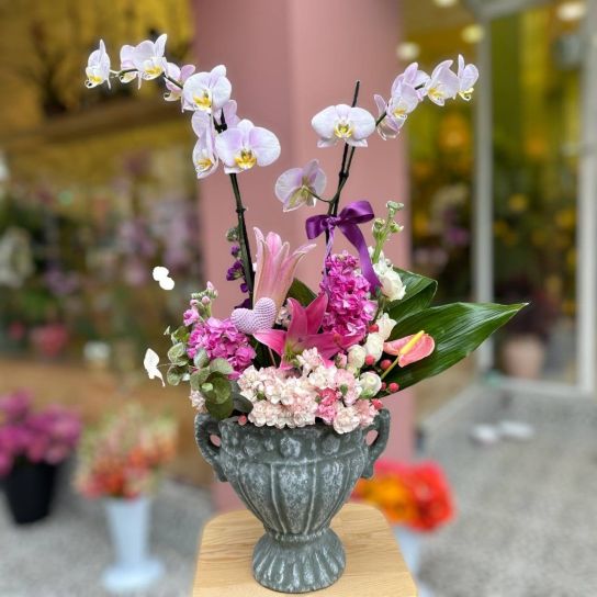 lüks orkide aranjmanı