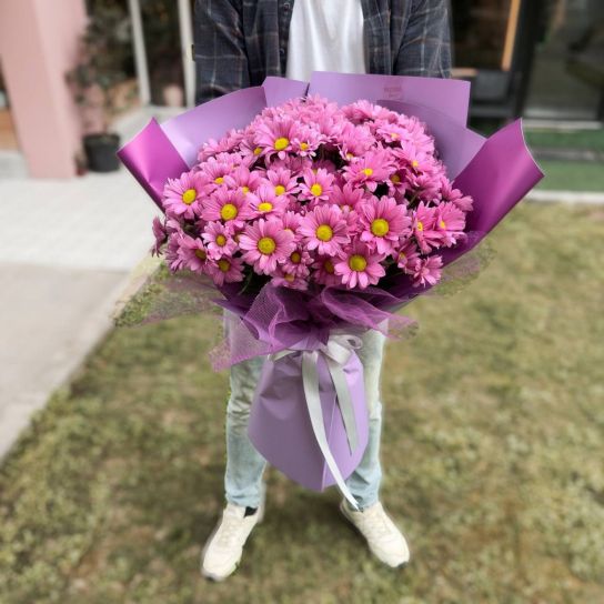 Kucak Dolusu Pembe Papatya