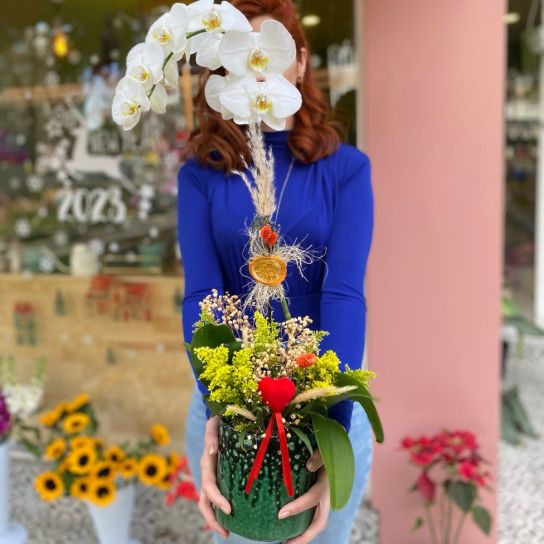 Tek dal beyaz Orkide