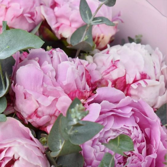 Delux 10 Pembe Şakayık Buketi