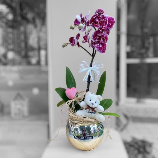 Happy Bear Delux Vazoda Alacalı Mor Premium Orkide