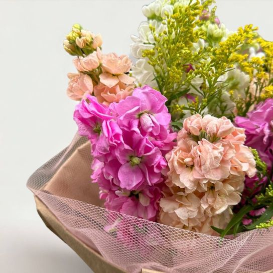 Renkli Şebboylar Buketi