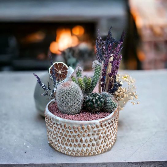 Seramik Saksıda Kaktüs Sukulent Aranjmanı.