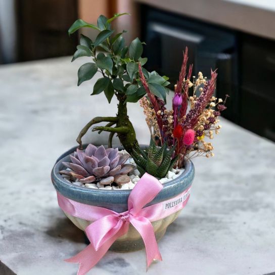 Luks Saksıda Bonsai Kaktüs Sukulent Aranjmanı.