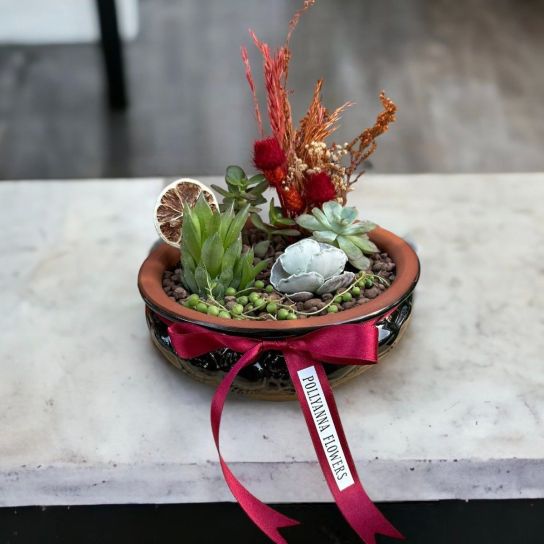 Sırlı Saksıda Kaktüs ve Sukulent Aranjmanı.