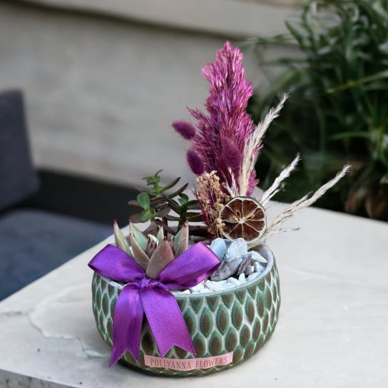 Lüks Saksıda Kaktüs Sukulent Aranjmanı.