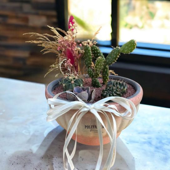Saksıda Sukulent Kaktüs Aranjmanı.