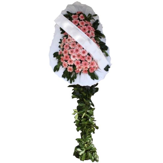 Pembe Gerbera Tebrik Çelengi