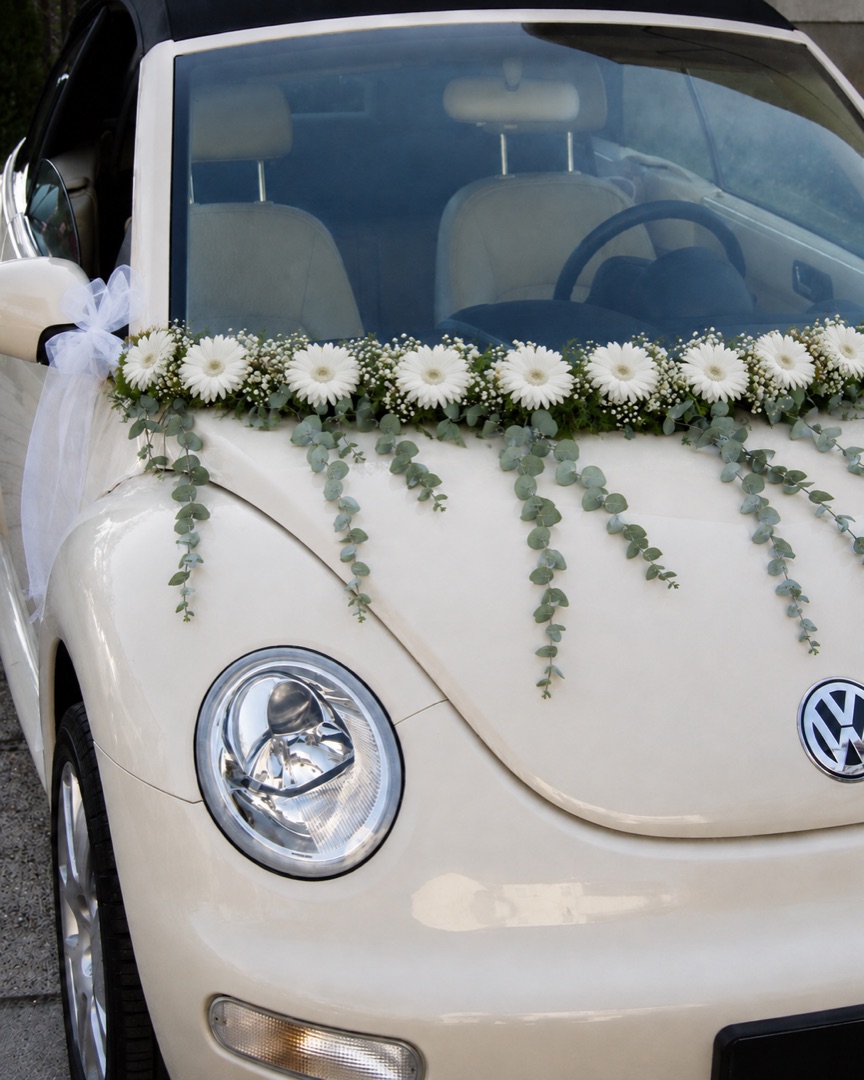 Klasik cabrio gelin arabası — beyaz gerbera şeridi ve sarkan okaliptüs